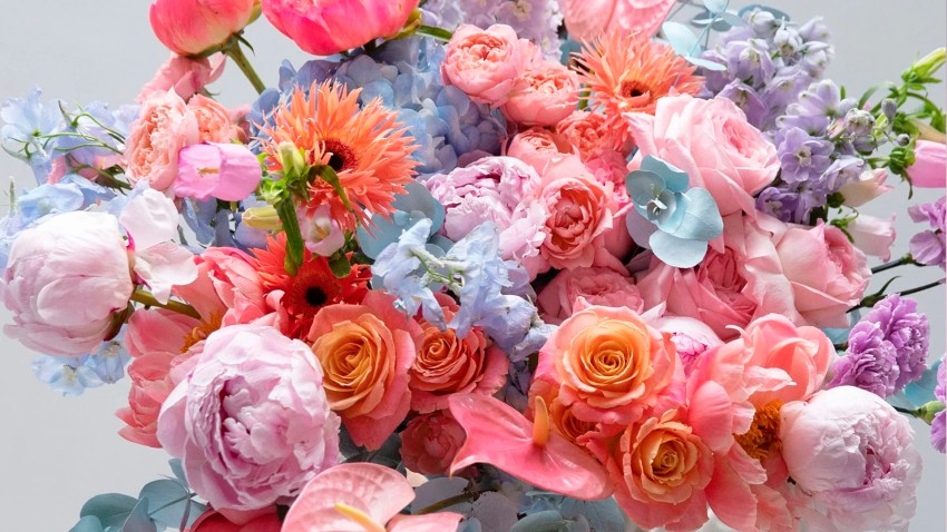 Цветы, символизирующие Любопытство. Перечень от «Флорист.ру»