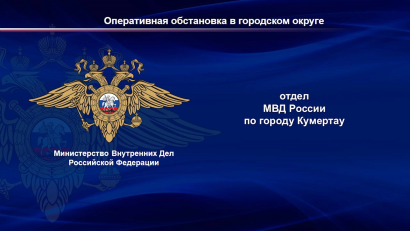 Сводка МВД